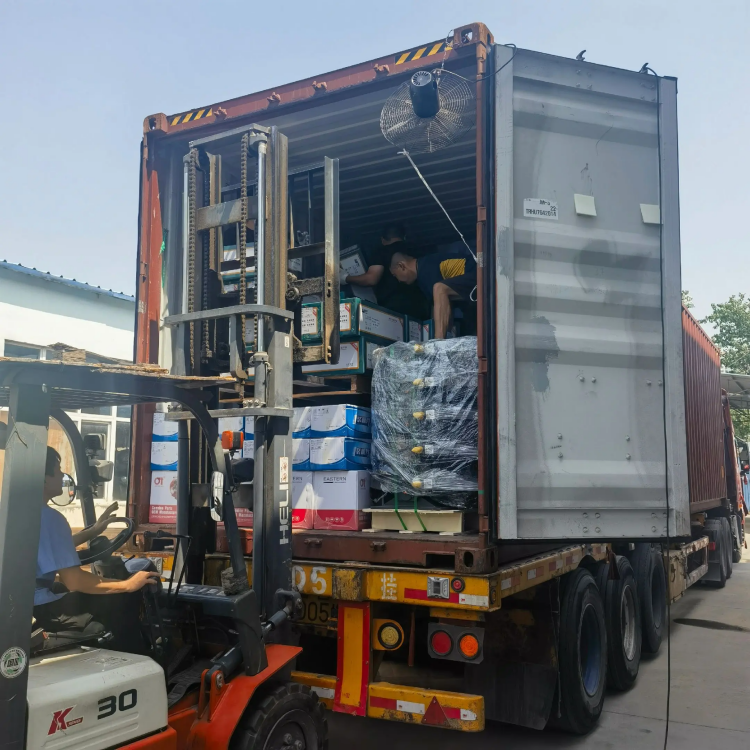 SKYOND שווער טראַק פּאַרץ - פאָר גרינג, טראַסטיד אומעטום!